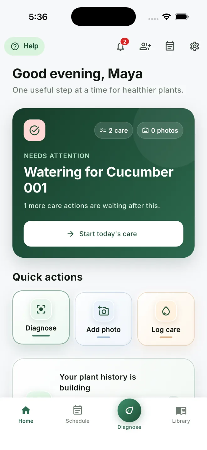 The CureMyPlants home screen showing today's care action