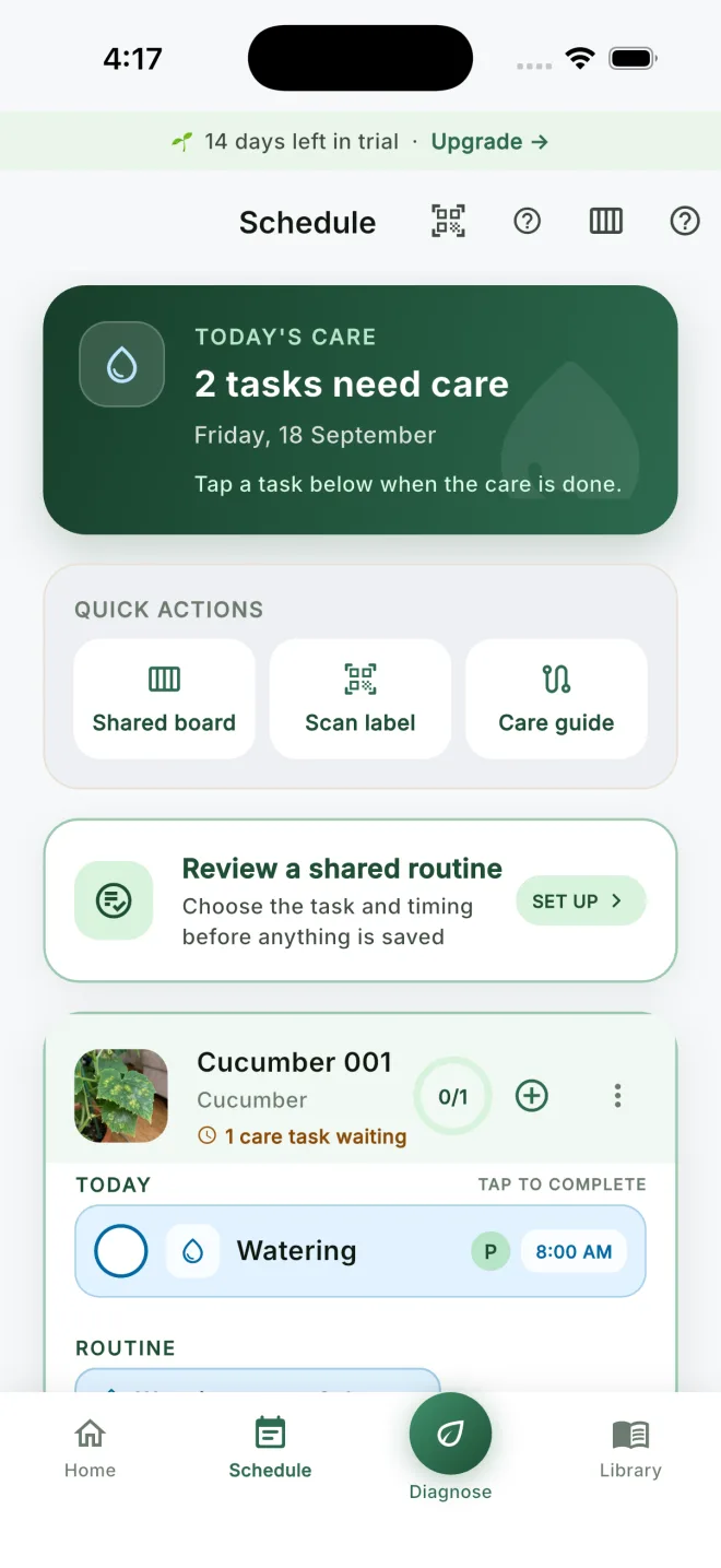 See treatment and care reminders in the schedule