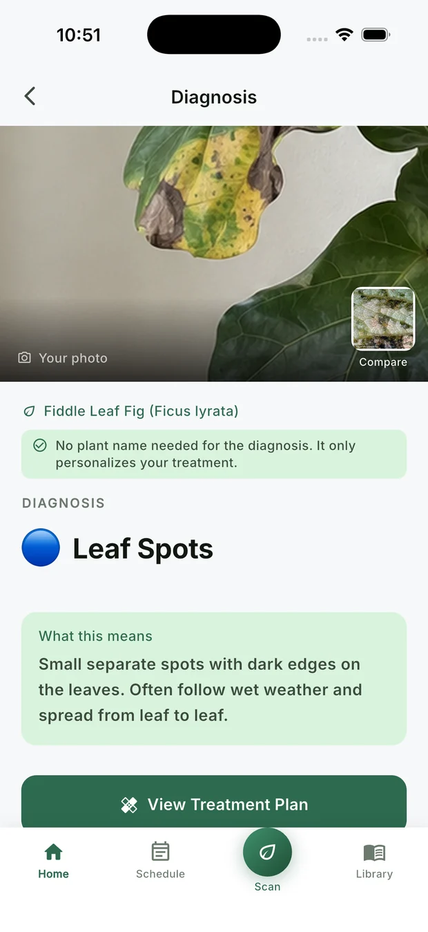 The CureMyPlants app asking a plain yes or no question about what is visible on the leaf