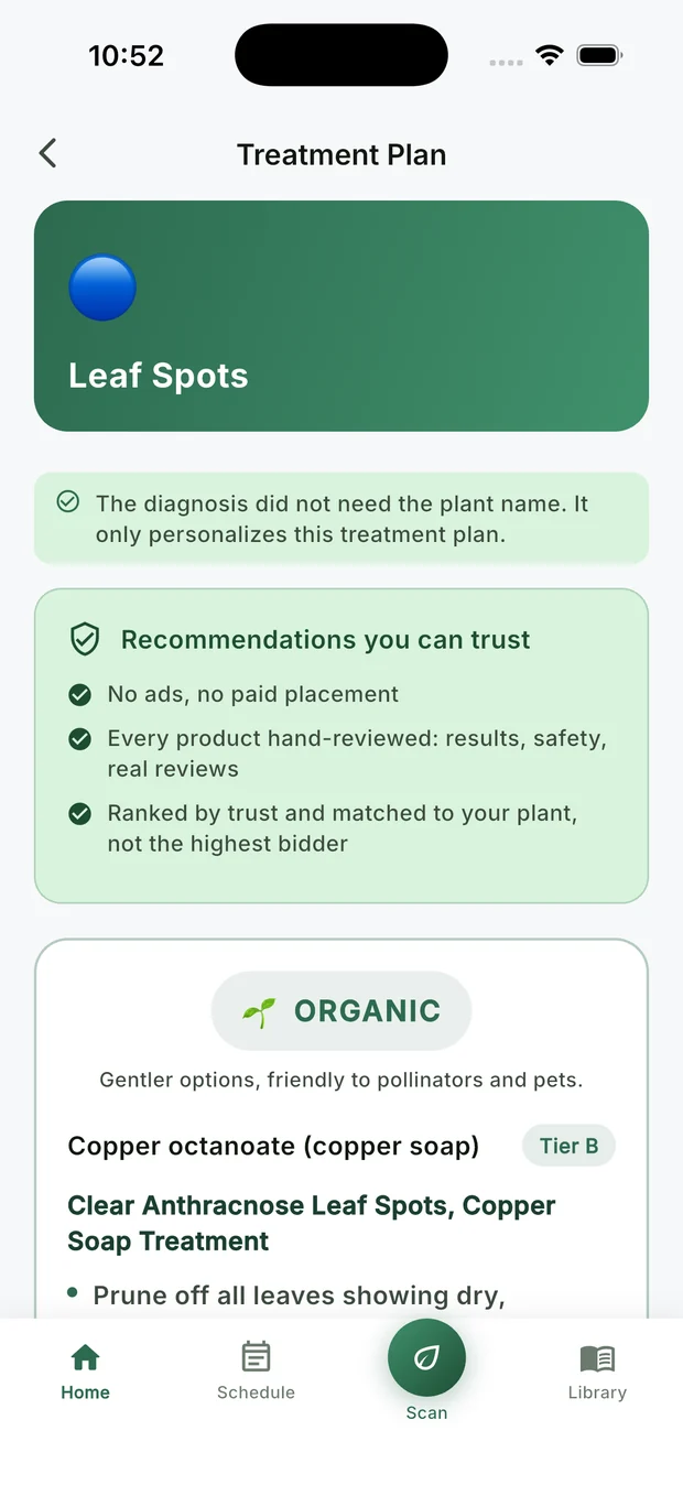 The diagnosis screen showing the user's own fiddle leaf fig photo labelled anthracnose leaf spot with a severity read