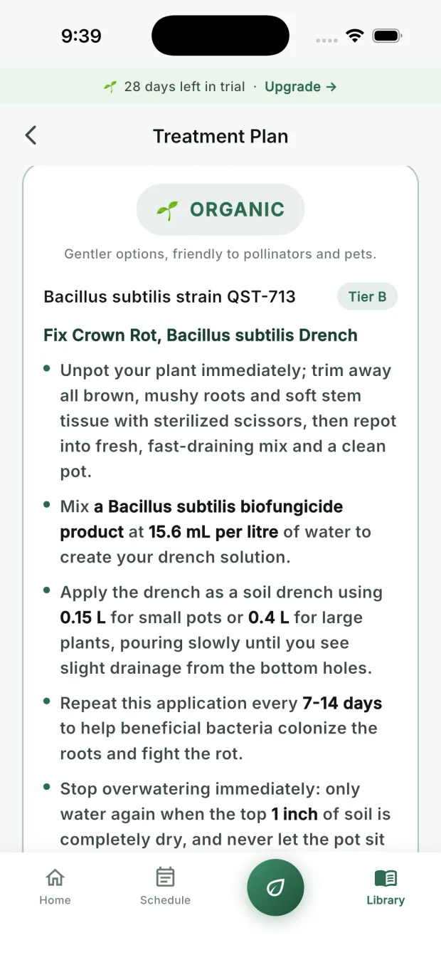 The treatment plan screen for a Monstera, showing the exact steps to trim the rotted roots and repot in a fast draining mix