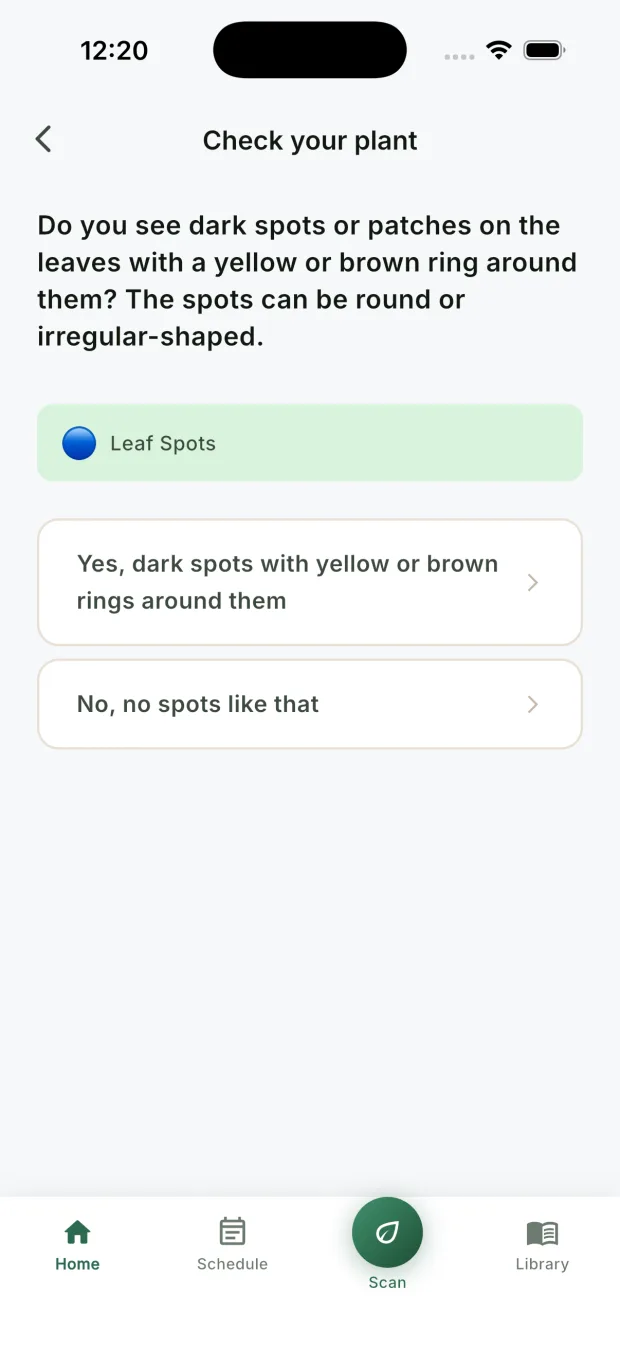 The CureMyPlants app asking a plain yes or no question about what is visible on the plant