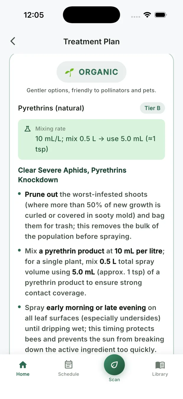 The CureMyPlants treatment plan for aphids, an organic pyrethrins spray with an exact mixing rate and steps in order