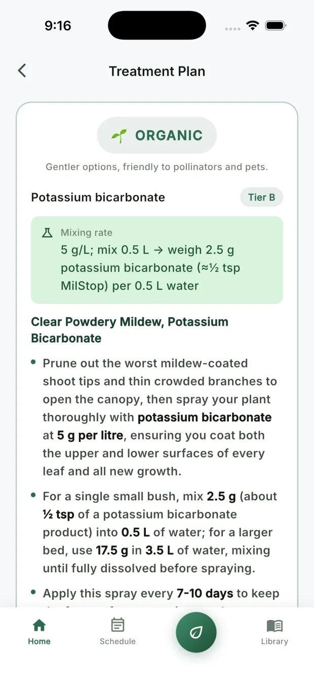 The organic treatment plan for a milder case: potassium bicarbonate with its mixing rate and steps