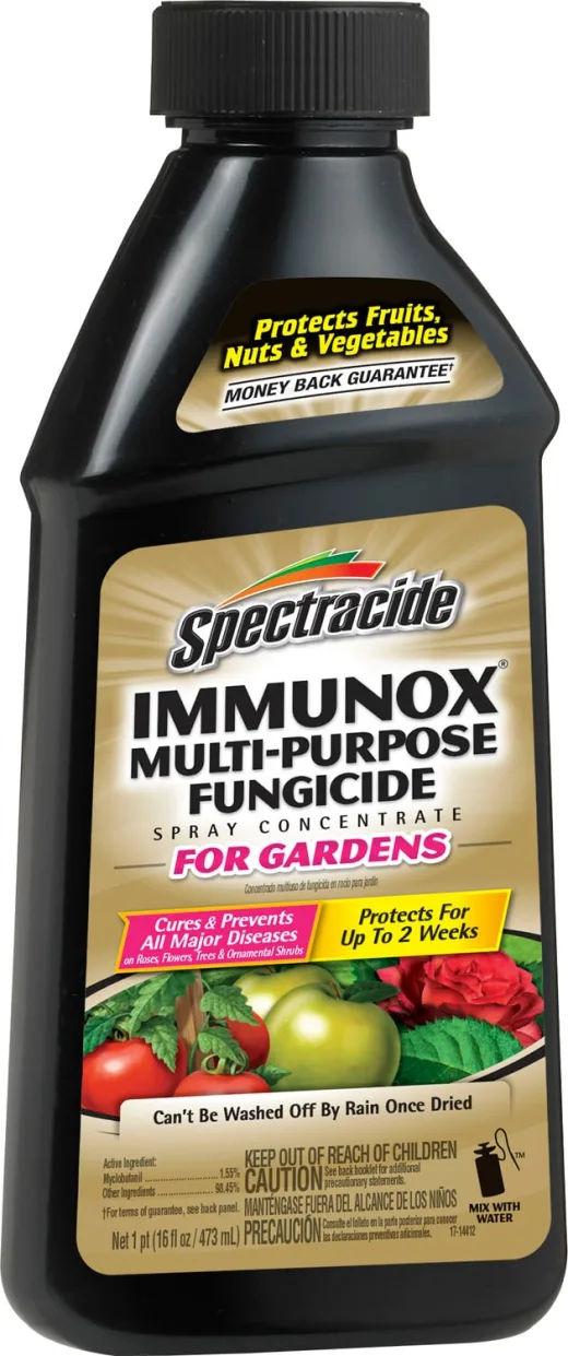 Spectracide Immunox Multi-Purpose Fungicide concentrate bottle